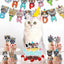 Birthday Party Decoration Set for Cats and Kittens