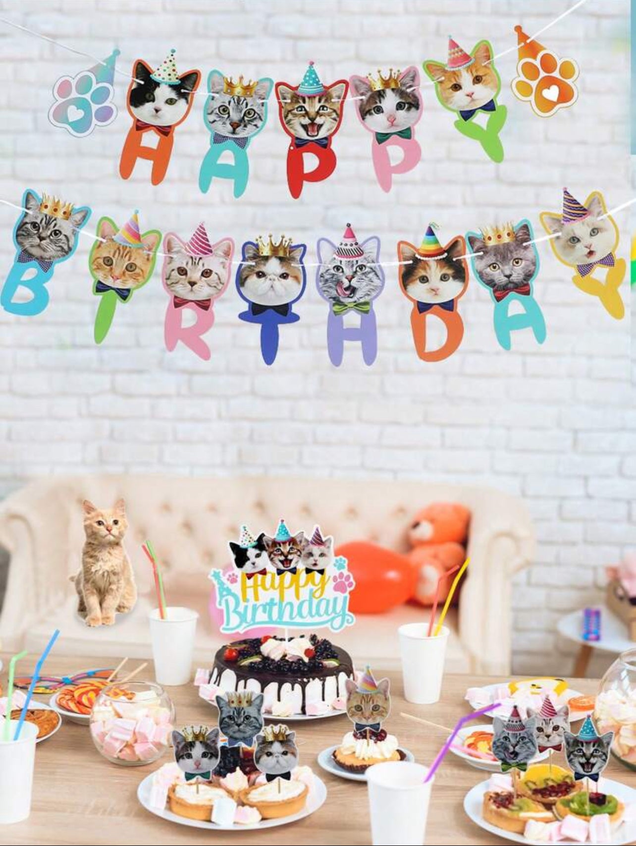 Birthday Party Decoration Set for Cats and Kittens