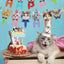 Birthday Party Decoration Set for Cats and Kittens