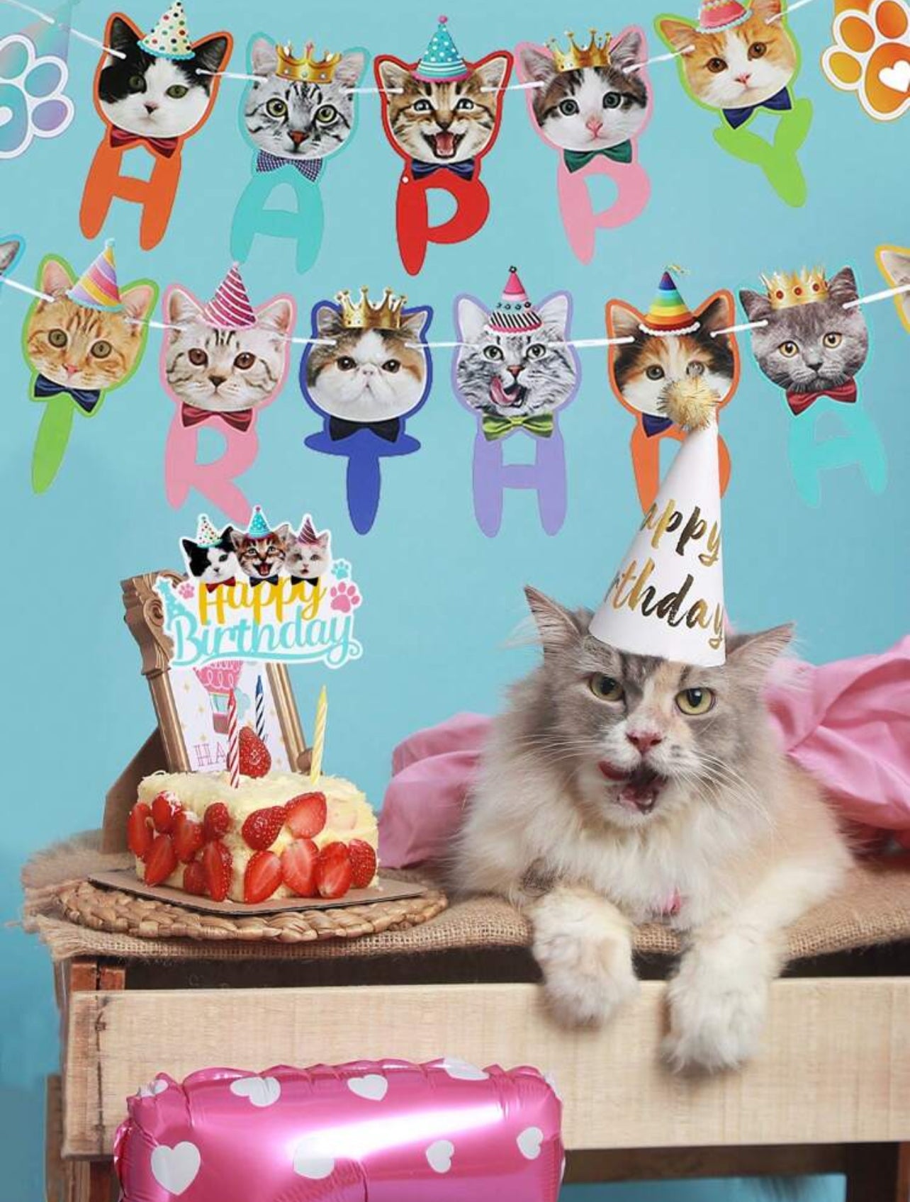 Birthday Party Decoration Set for Cats and Kittens