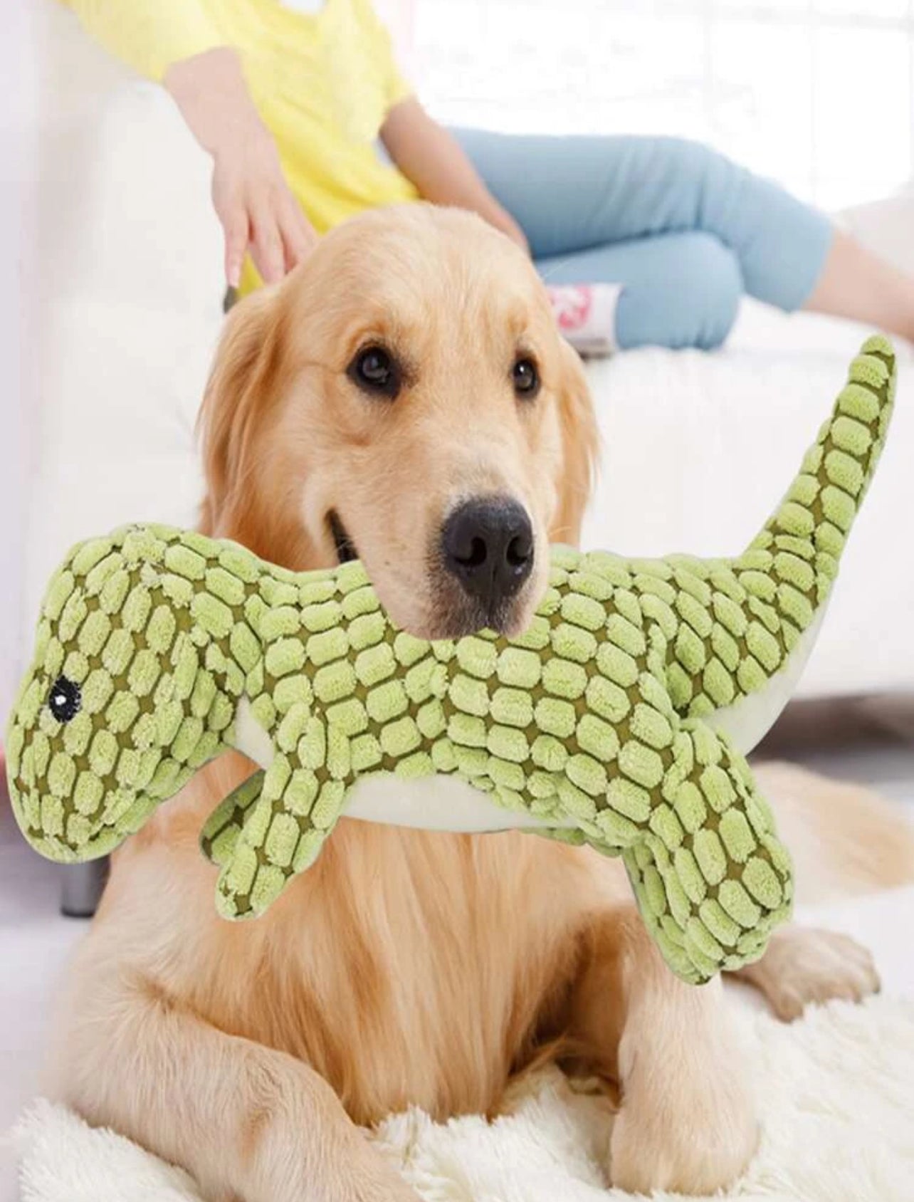 Soft Dinosaur Dog Toy with Sound (Bite resistant)