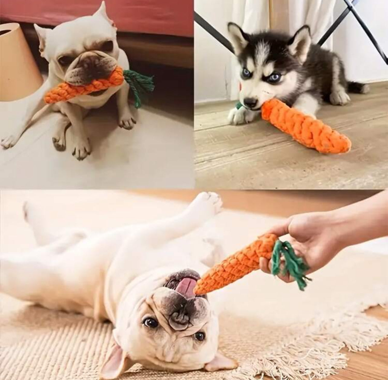 5 Piece Carrot Shaped Durable Pet Chew Rope Toy for Interactive Play