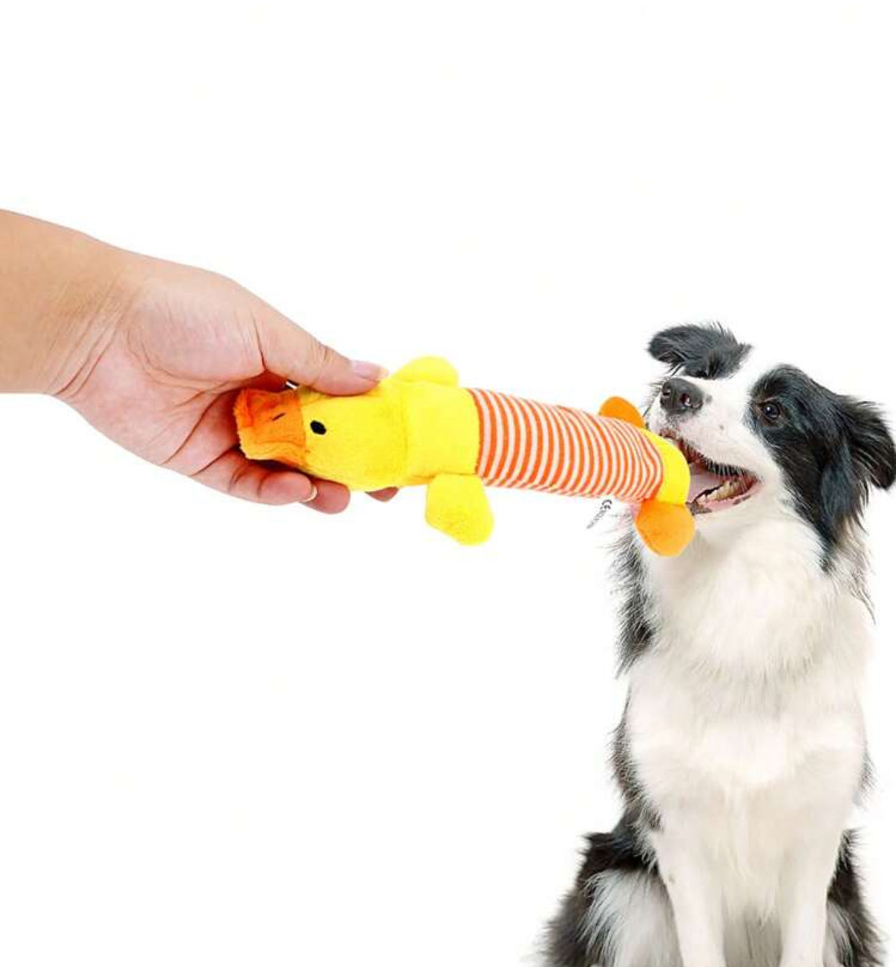 Funny and Durable Soft Dog Toy with Sound