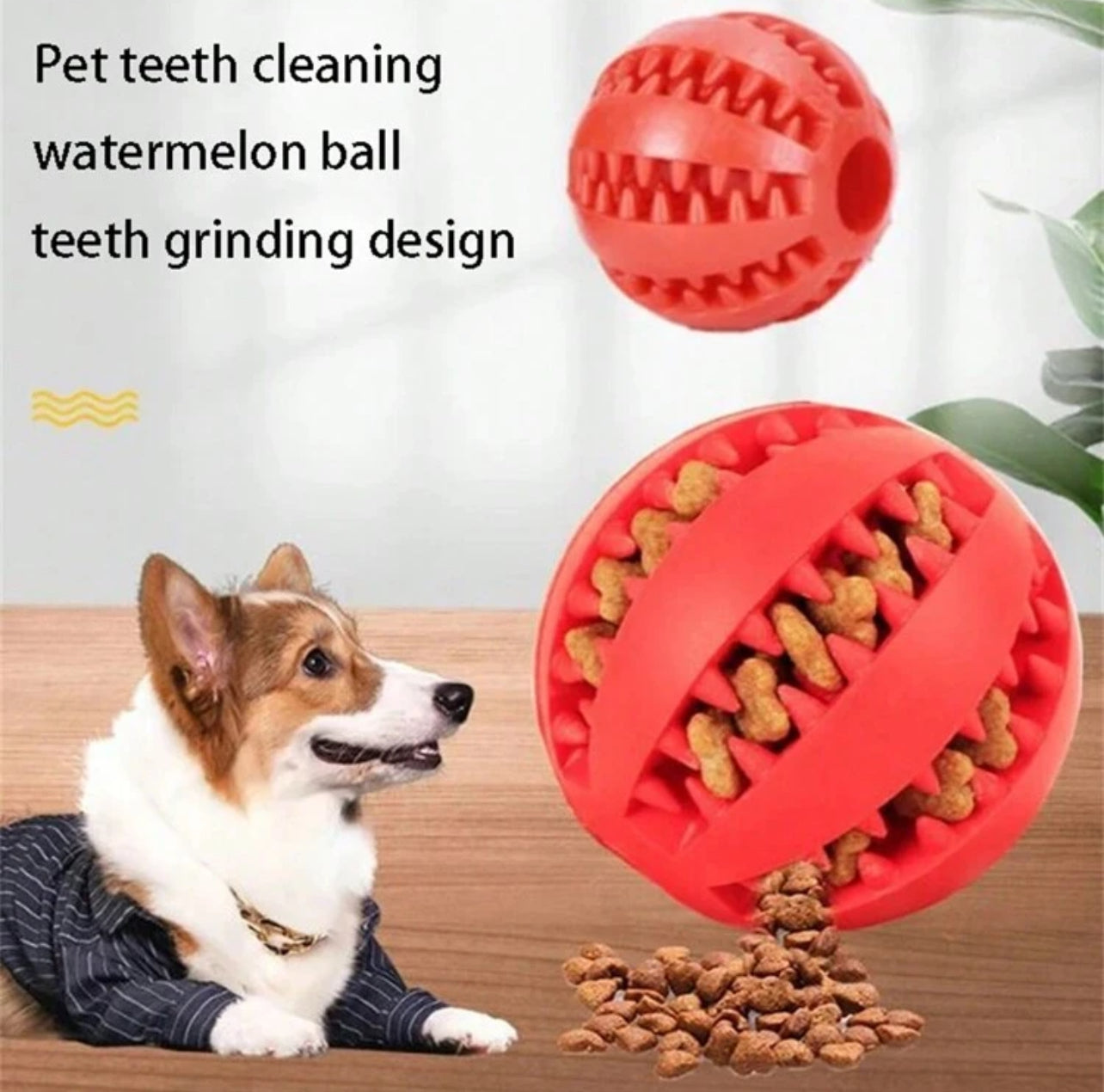 Extra Tough Rubber Interactive Ball for Dog with Teeth Cleaning Feature