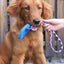 Interactive Rope Toy for Dogs - Durable, Fun, and Engaging Playtime