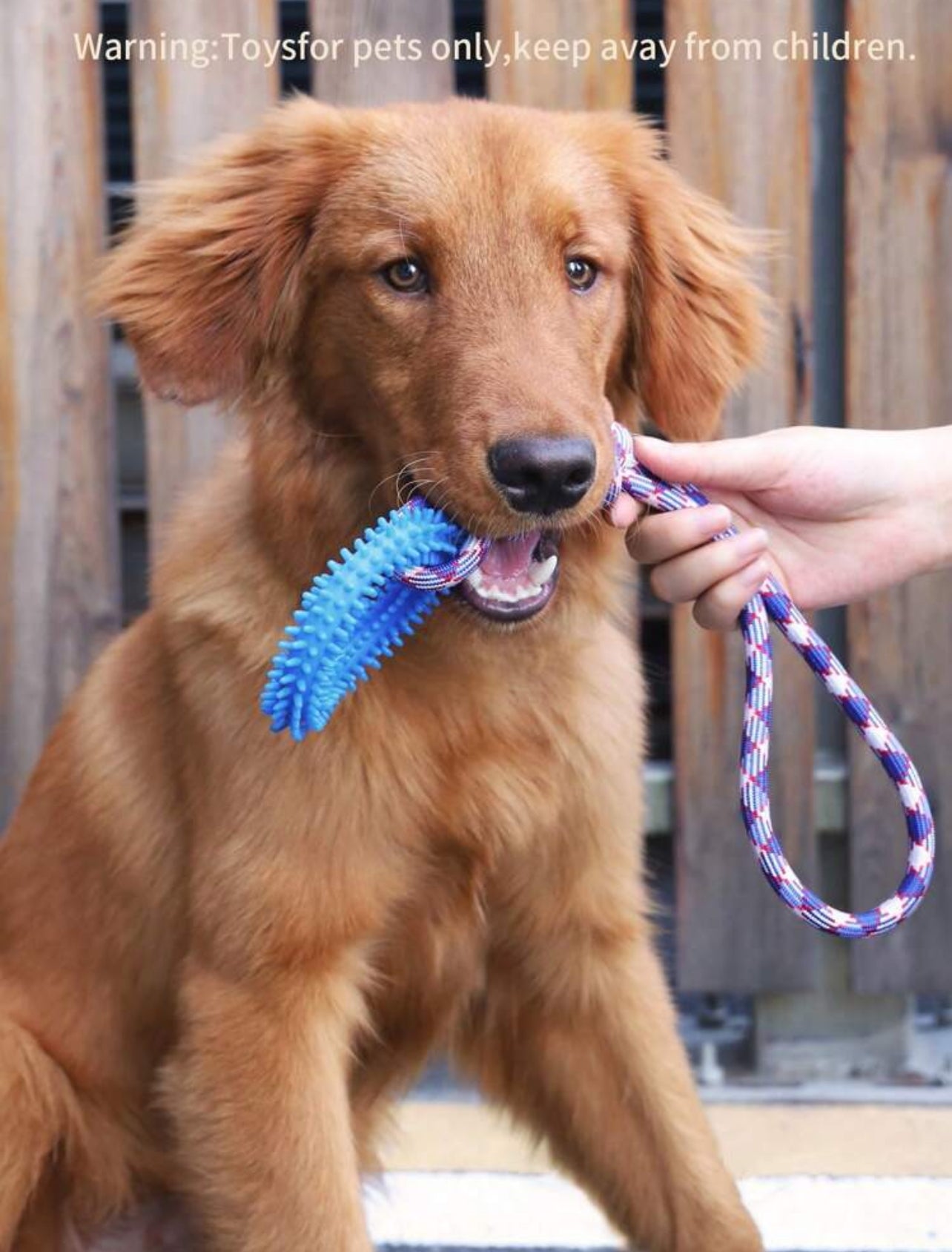 Interactive Rope Toy for Dogs - Durable, Fun, and Engaging Playtime