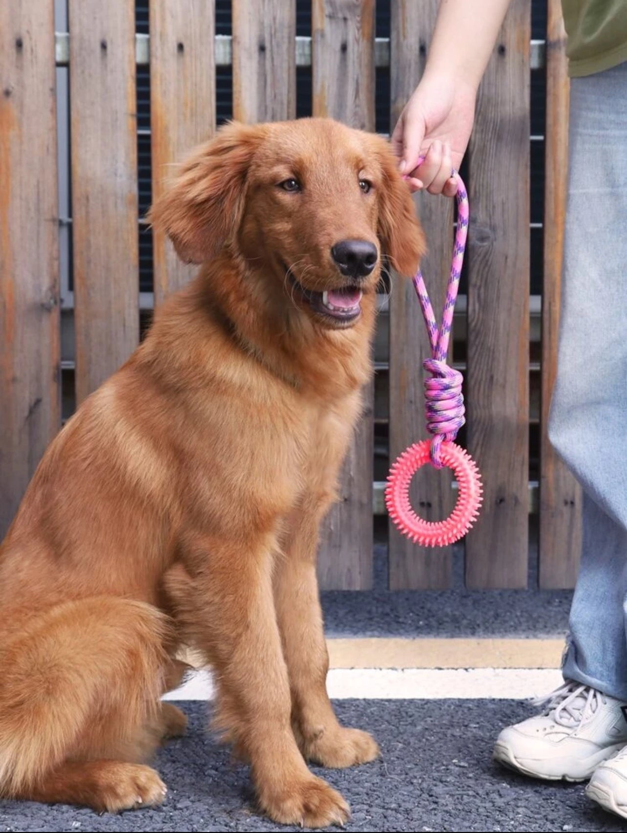 Interactive Rope Toy for Dogs - Durable, Fun, and Engaging Playtime