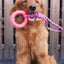 Interactive Rope Toy for Dogs - Durable, Fun, and Engaging Playtime