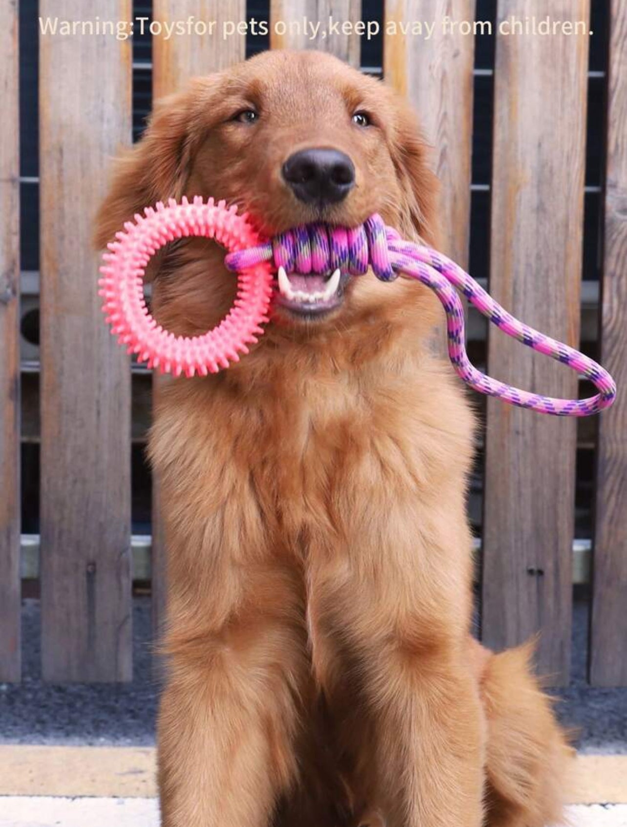 Interactive Rope Toy for Dogs - Durable, Fun, and Engaging Playtime