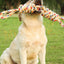 Interactive Rope Toy for Dogs - Durable, Fun, and Engaging Playtime