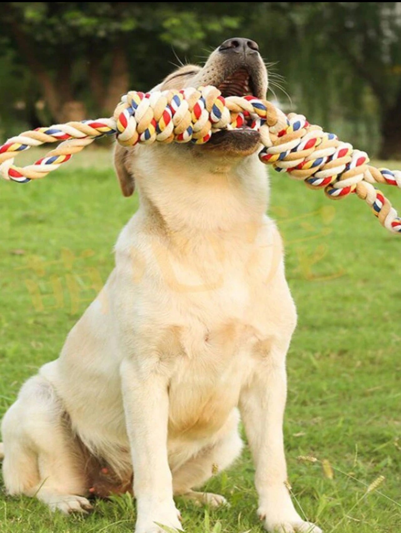 Interactive Rope Toy for Dogs - Durable, Fun, and Engaging Playtime