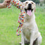 Interactive Rope Toy for Dogs - Durable, Fun and Engaging Playtime