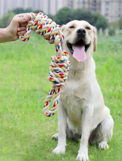 Interactive Rope Toy for Dogs - Durable, Fun and Engaging Playtime