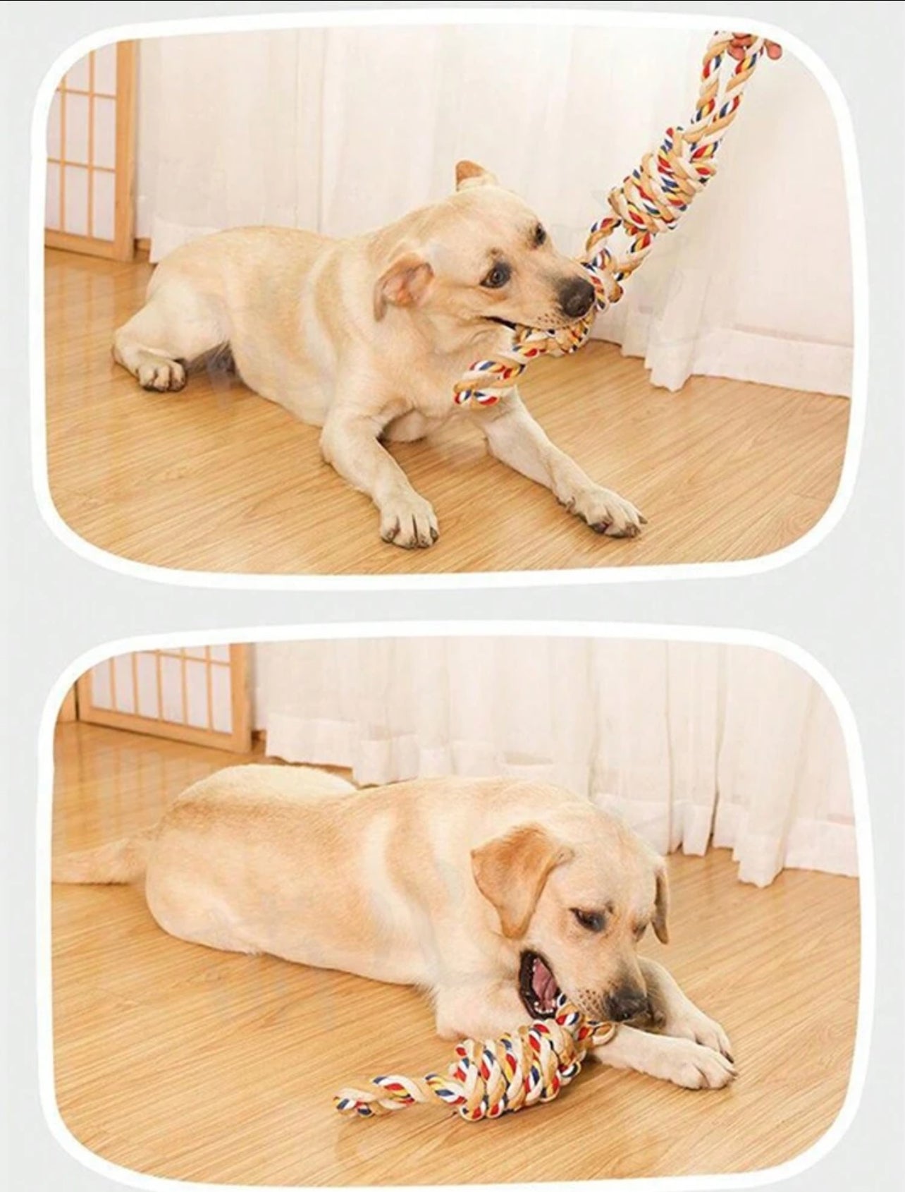 Interactive Rope Toy for Dogs - Durable, Fun and Engaging Playtime