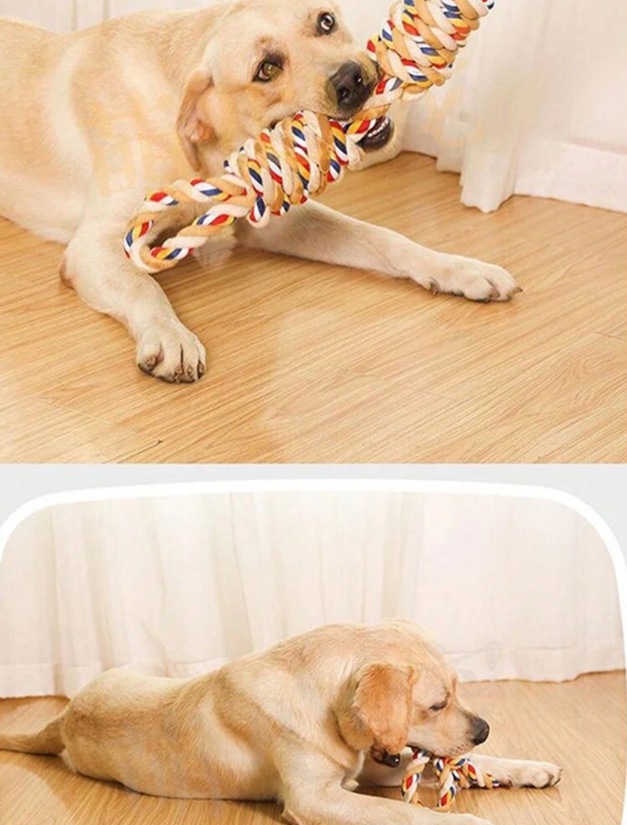 Interactive Rope Toy for Dogs - Durable, Fun and Engaging Playtime