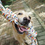 Interactive Rope Toy for Dogs - Durable, Fun and Engaging Playtime