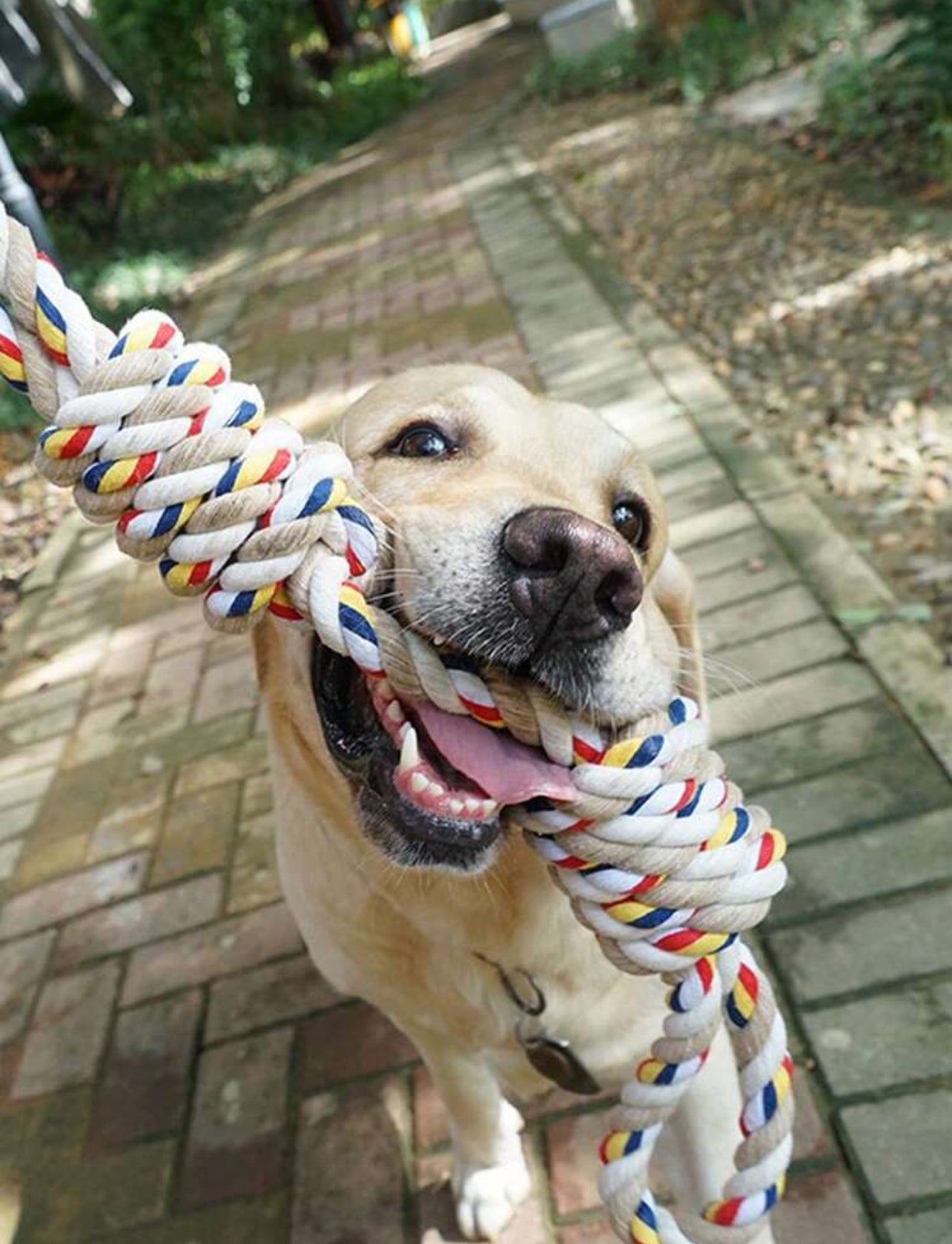 Interactive Rope Toy for Dogs - Durable, Fun and Engaging Playtime