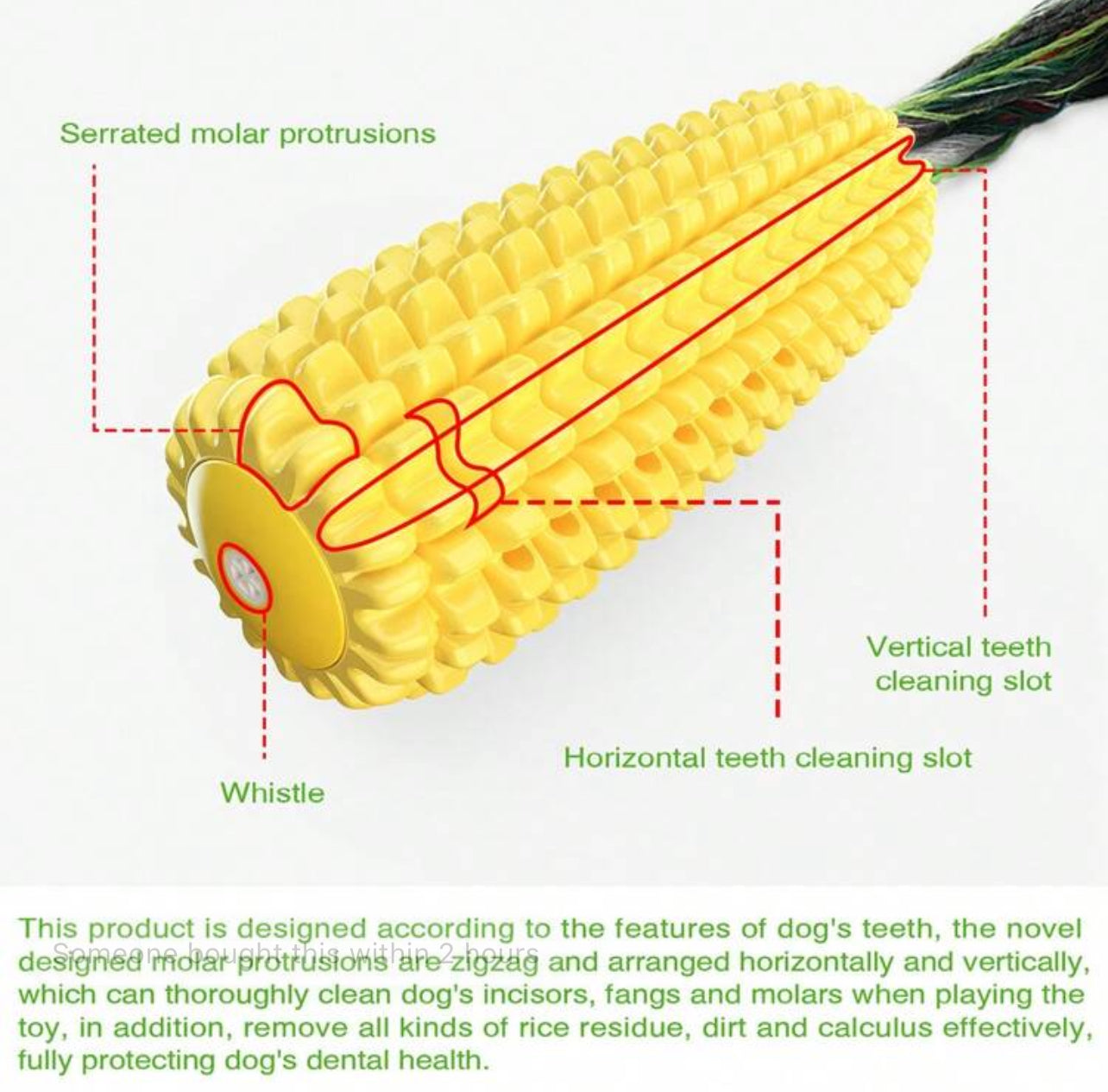 Corn Shaped Interactive Dog Chewing Toy with Rope and Sound