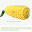 Corn Shaped Interactive Dog Chewing Toy with Rope and Sound