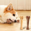 Dog Bone Toy for Aggressive Chewers, Durable and Tough Toy - Promotes Healthy Teeth and Gums