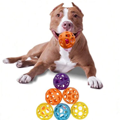 Hollow Ball with Inner Bell Inside for a Small to Medium Size Dog - For Chasing and Biting