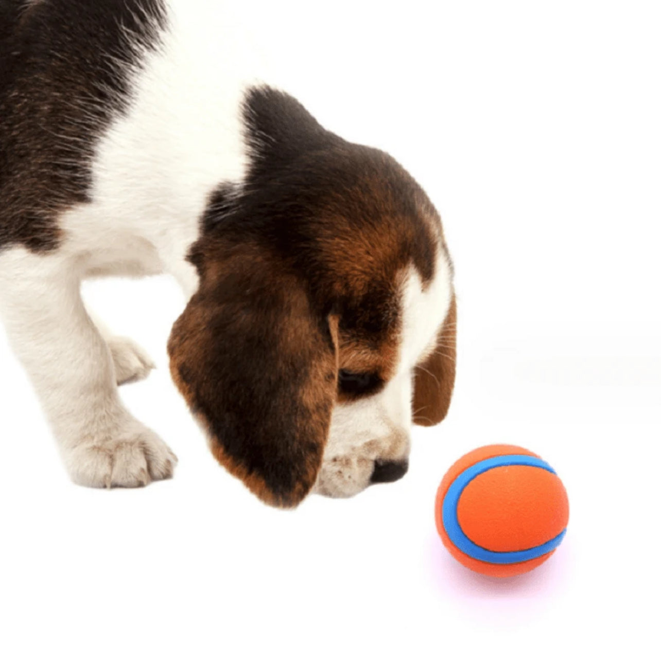 Set of 2 Bouncy Balls For Training, Play, Teeth Cleaning, Water Friendly