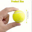 Interactive Dog Net Ball Fetcher for Small to Medium Breed Dogs