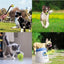 Interactive Dog Net Ball Fetcher for Small to Medium Breed Dogs