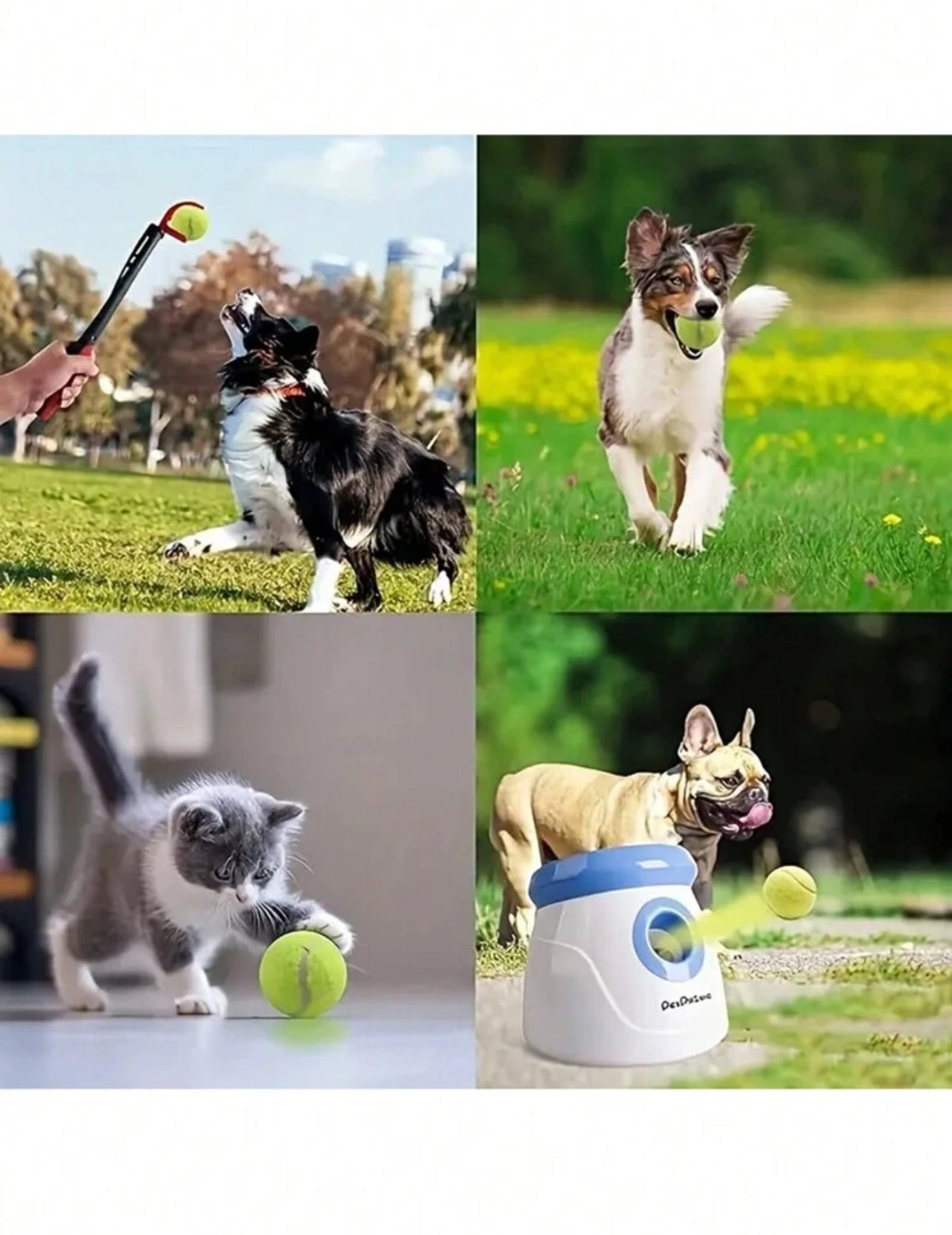 Interactive Dog Net Ball Fetcher for Small to Medium Breed Dogs