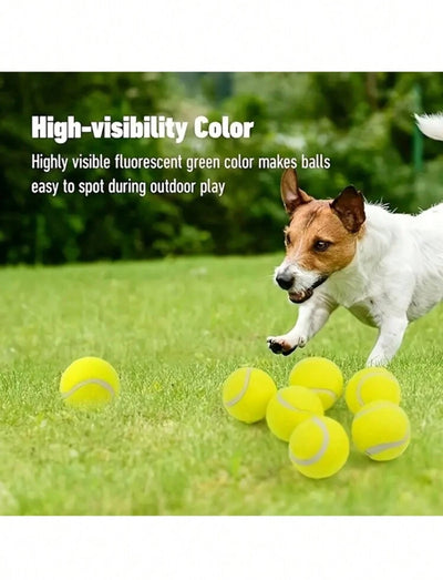 Interactive Dog Net Ball Fetcher for Small to Medium Breed Dogs