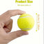 Interactive Dog Net Ball Fetcher for Small to Medium Breed Dogs