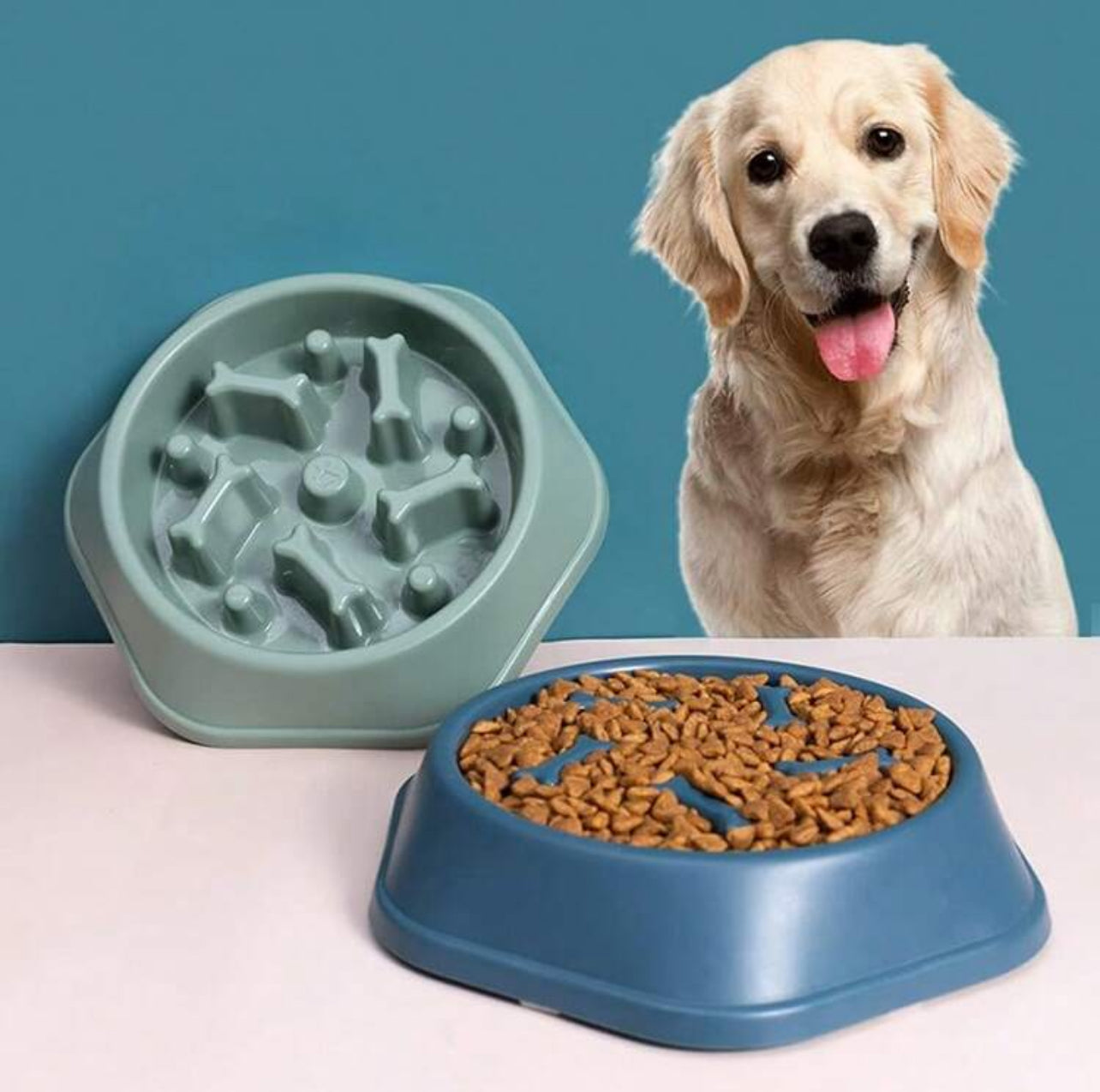 Dog or Cat Slow Feeder Bowl, Non-Slip Healthy Eating Slow Feeding Option for your Pet