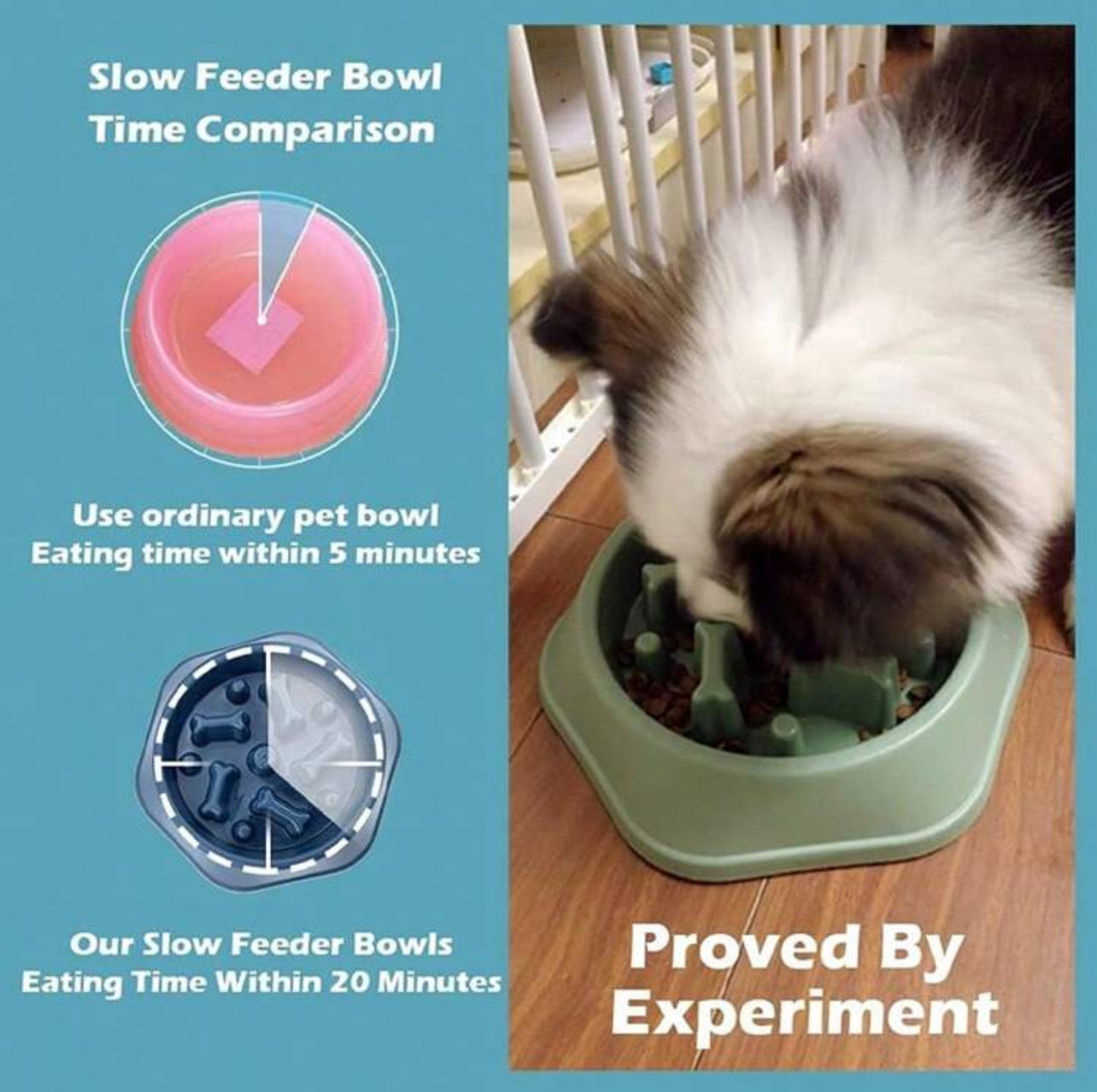 Dog or Cat Slow Feeder Bowl, Non-Slip Healthy Eating Slow Feeding Option for your Pet