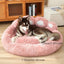 Plush Pet Bed in Paw Design