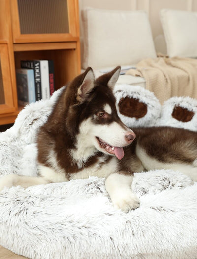 Plush Pet Bed in Paw Design