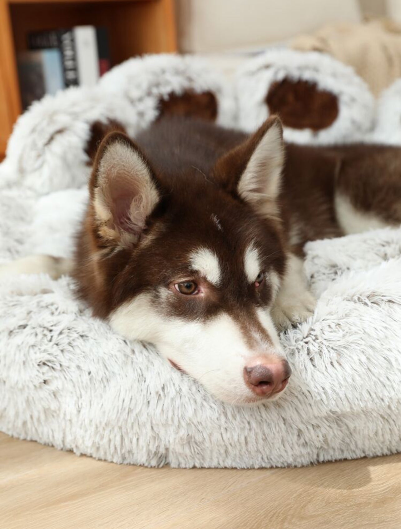 Plush Pet Bed in Paw Design