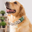 Flower Pattern Quick Release Collar for Indoor and Outdoor Use