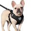 Dog and Cat Anti-Escape Adjustable Chest and Back Harness with Soft and Breathable Mesh and Reflective Safety Leash 