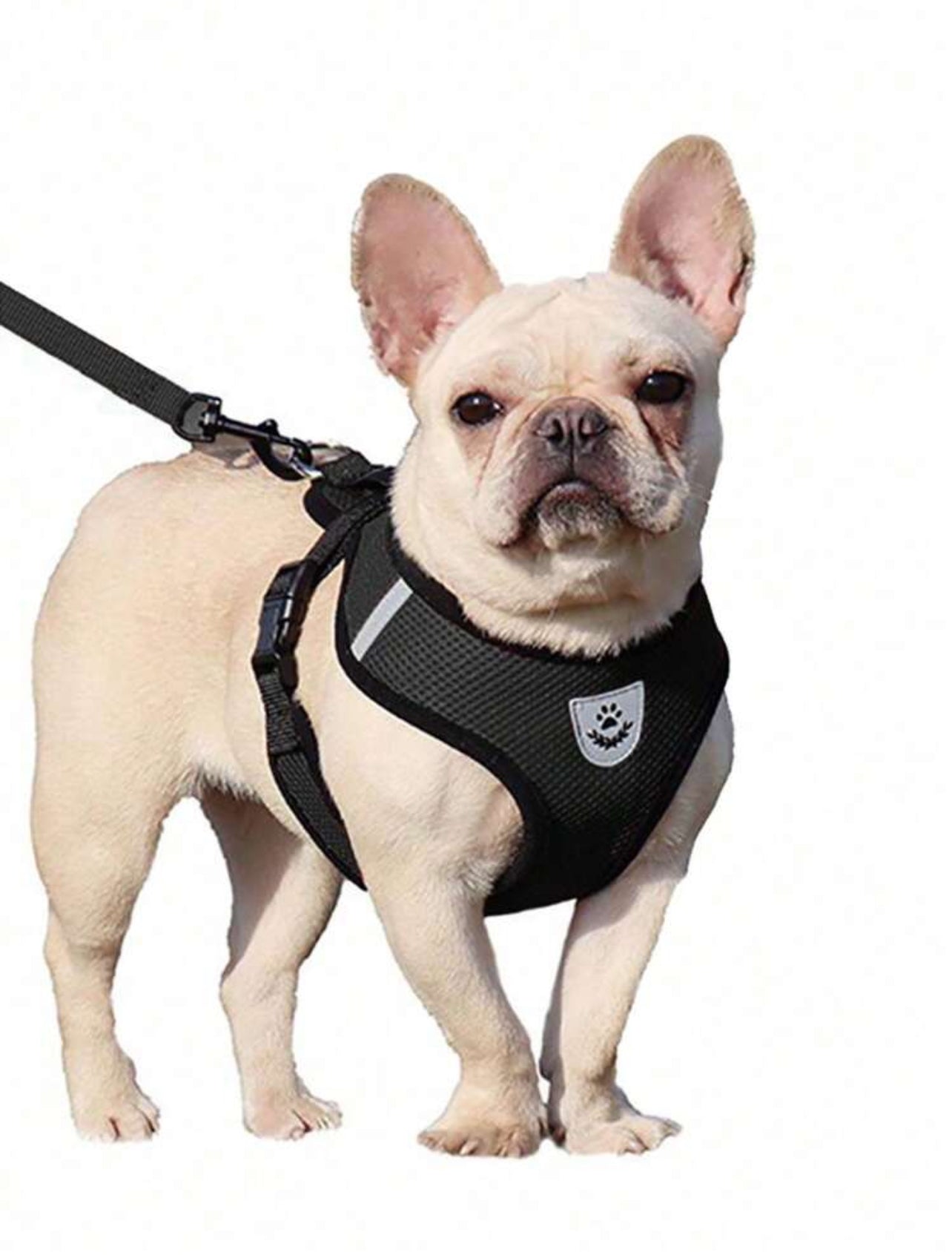 Dog and Cat Anti-Escape Adjustable Chest and Back Harness with Soft and Breathable Mesh and Reflective Safety Leash 