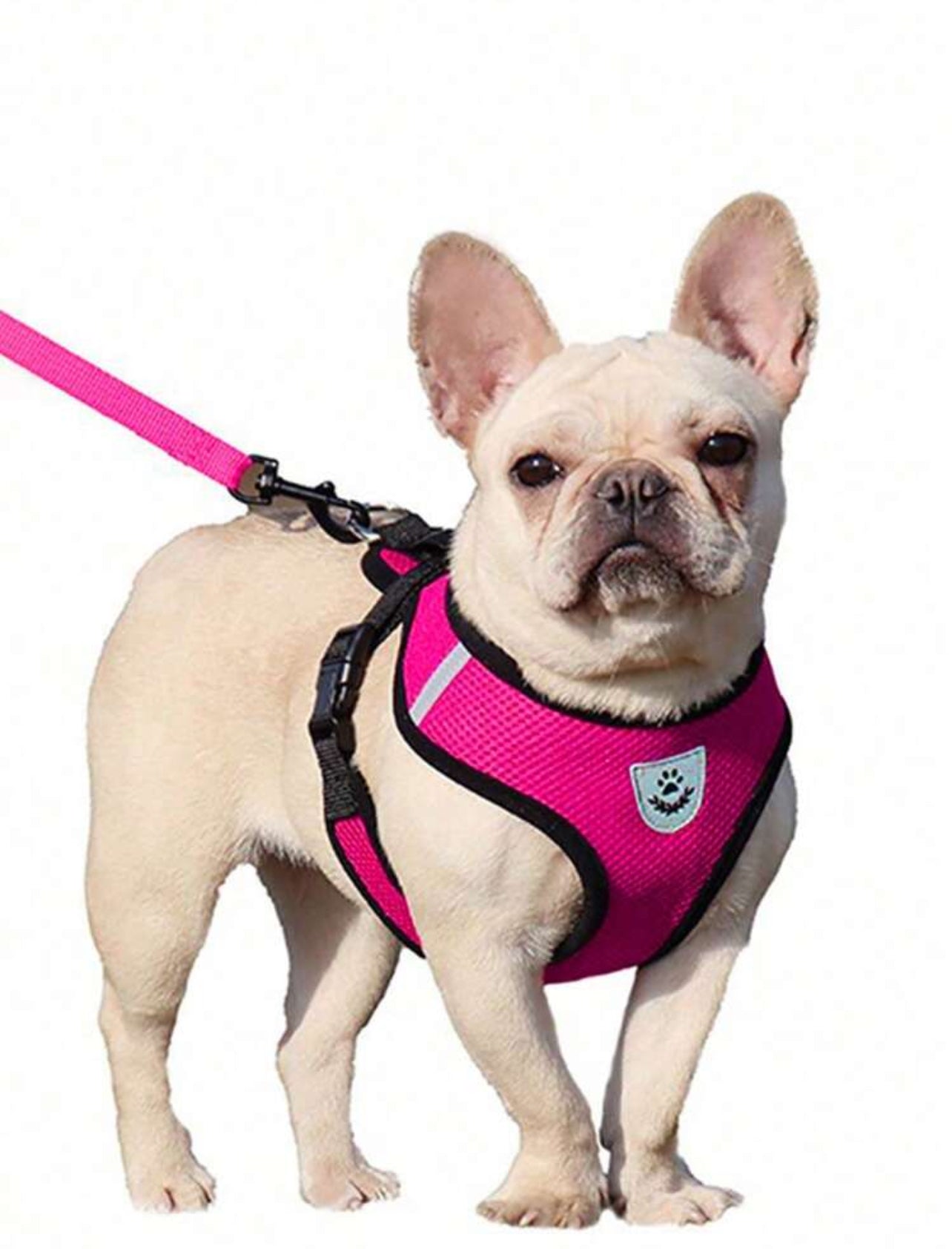 Dog and Cat Anti-Escape Adjustable Harness with Soft and Breathable Mesh and Reflective Safety Leash