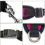 Dog and Cat Anti-Escape Adjustable Harness with Soft and Breathable Mesh and Reflective Safety Leash