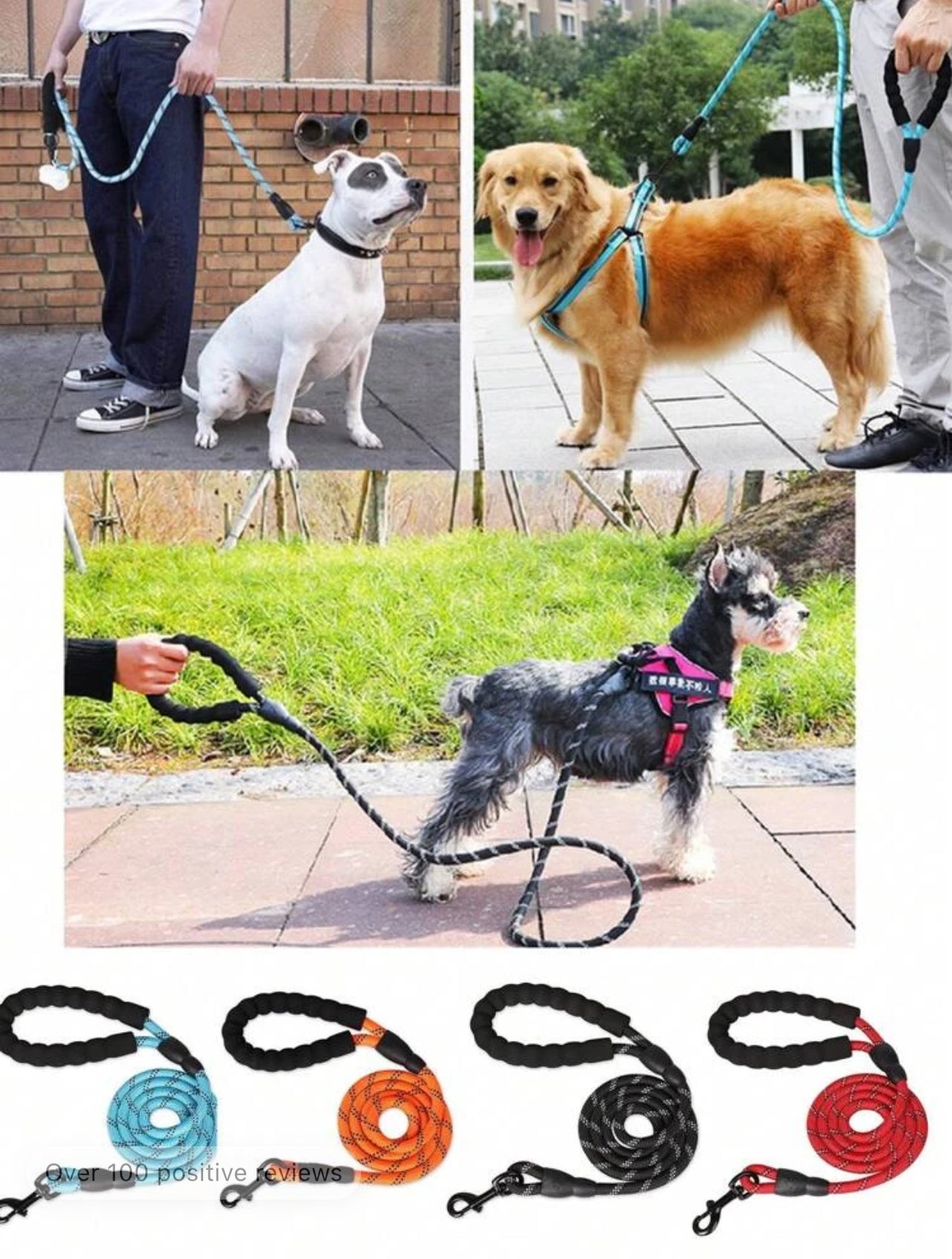 Reflective Pet Leash for Outdoor