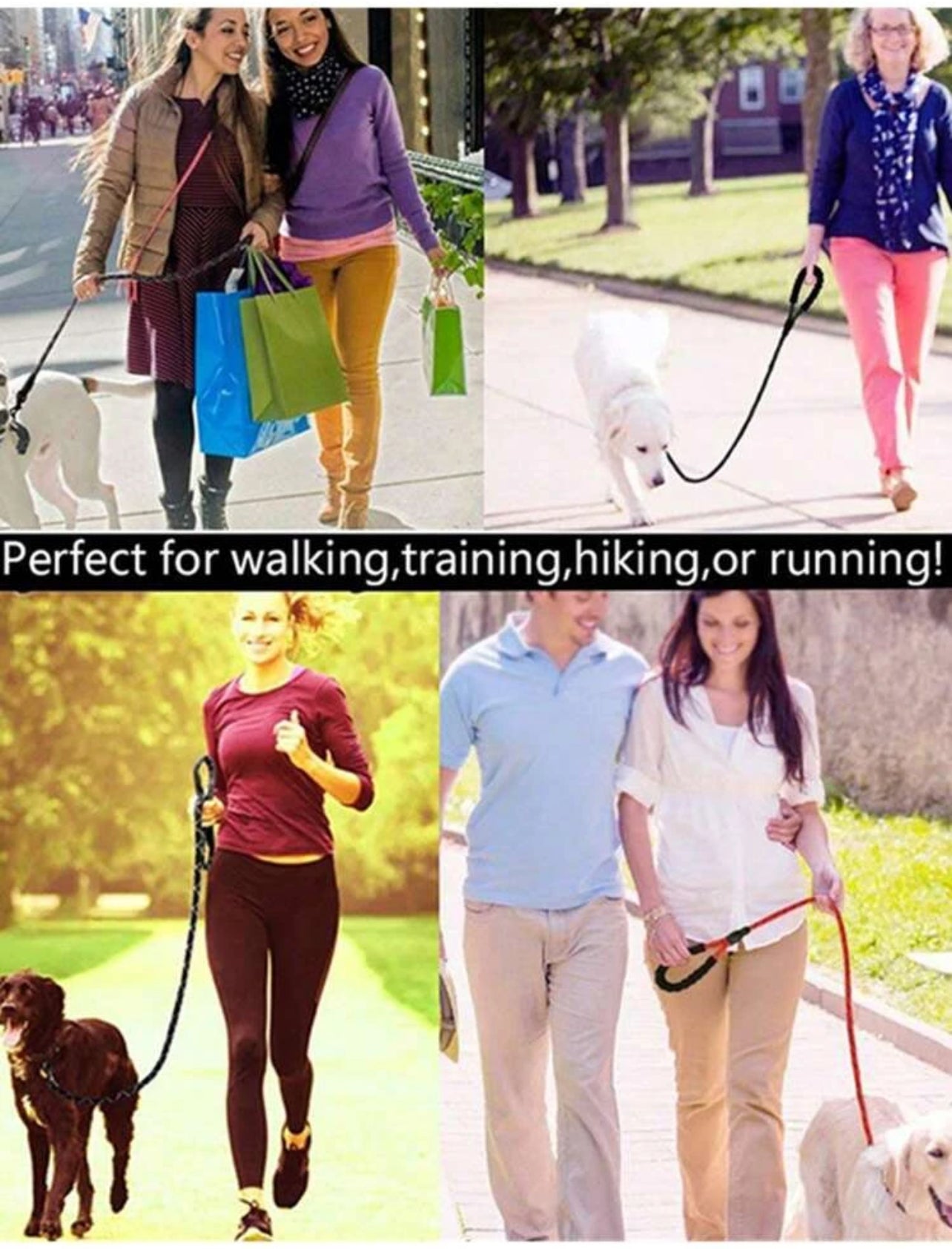 Reflective Pet Leash for Outdoor